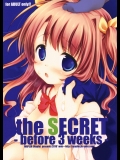 (C78)(同人誌) [MAPLER] the SECRET -before 3 weeks- (オリジナル)(コピー誌)