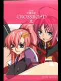 [紅茶屋(大塚子虎)] CrossRoad光 (機動戦士ガンダムSEED)