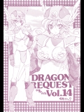 (C76) (同人誌) [ZINZIN] DRAGON REQUEST Vol.14 (DQ3)